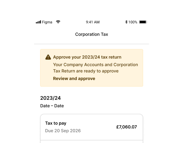 Confirmation screen showing approved Company Accounts and Tax Return